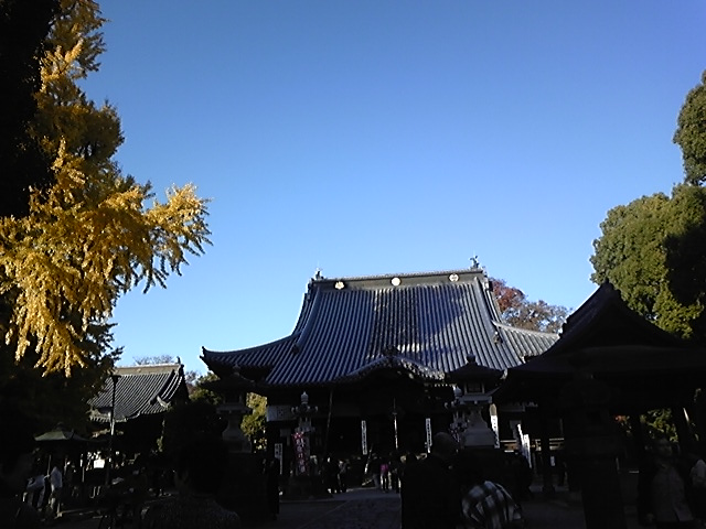 f:id:whitewitch:20121124142145j:image:w460