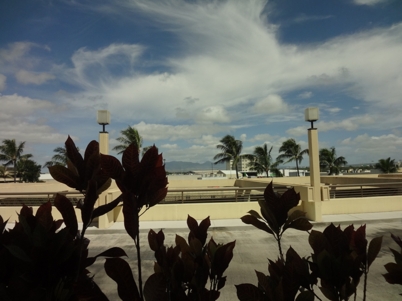 f:id:whitewitch:20130602052941j:image:w560 f:id:whitewitch:20130602052941j:image:w560