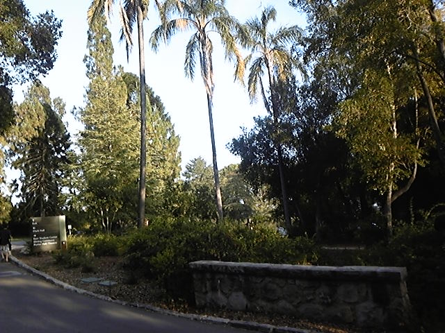 f:id:whitewitch:20130728190602j:image:w360