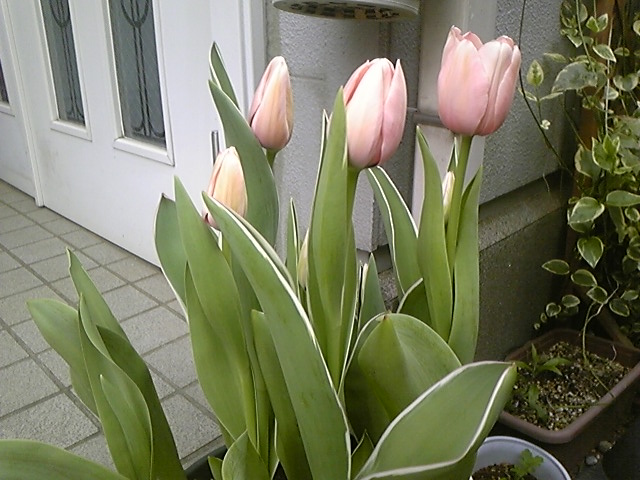 20140410163350