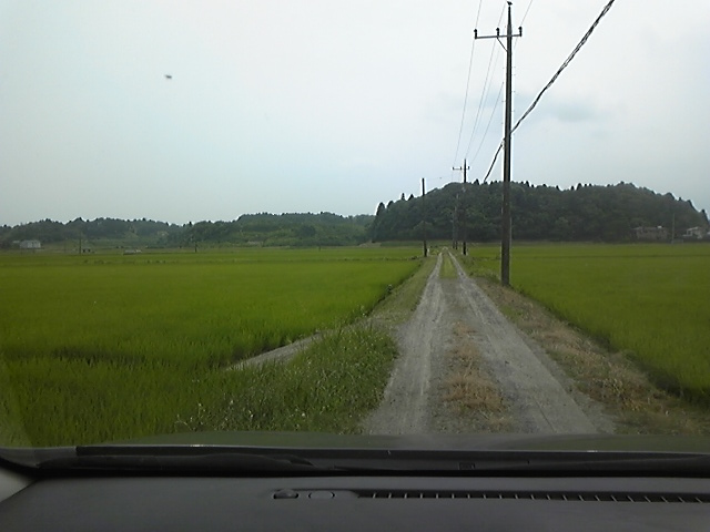 f:id:whitewitch:20140621131012j:image:w360