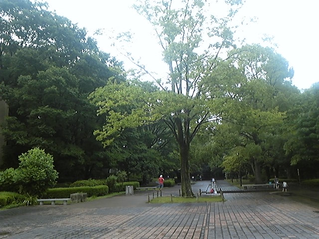 f:id:whitewitch:20140727170656j:image:w460 f:id:whitewitch:20140727170656j:image:w460