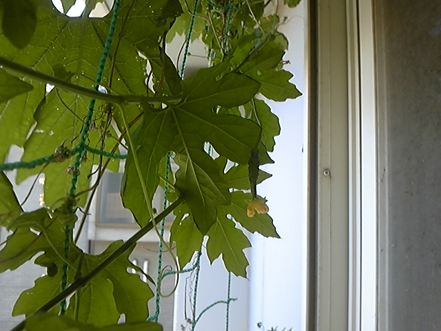 f:id:whitewitch:20140819112232j:image:w260