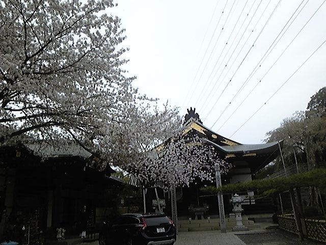 f:id:whitewitch:20150404163643j:image:w360