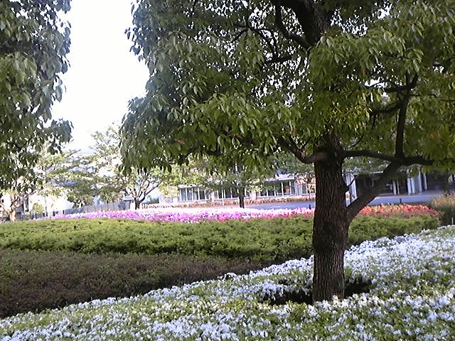 f:id:whitewitch:20150429171128j:image:w460