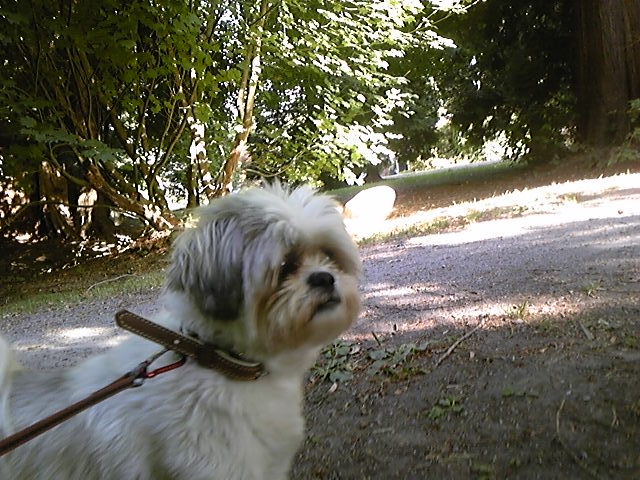 f:id:whitewitch:20150723105423j:image:w360