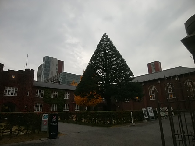 f:id:whitewitch:20161127073753j:image:w360 f:id:whitewitch:20161127073753j:image:w360