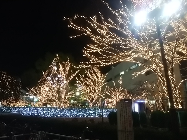 f:id:whitewitch:20161207184037j:image:w360