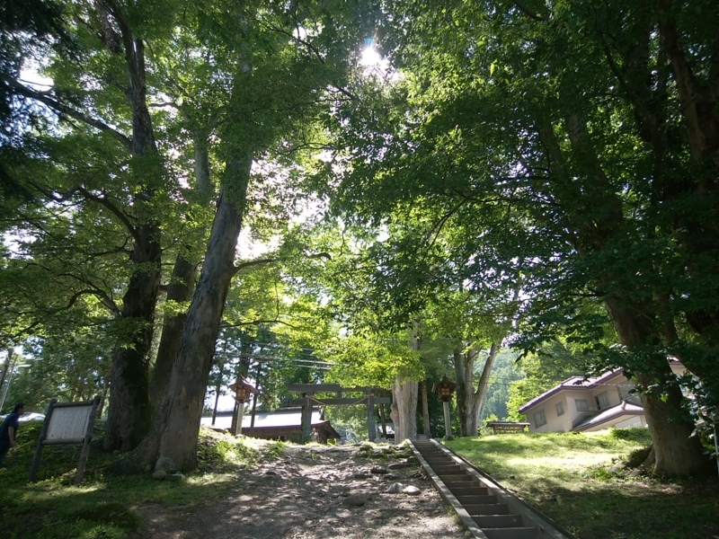 f:id:whitewitch:20170901131245j:image:w360
