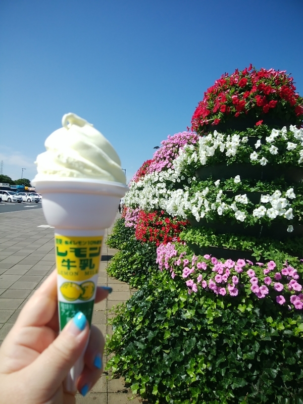 f:id:whitewitch:20180601085630j:image:w260 f:id:whitewitch:20180601085630j:image:w260