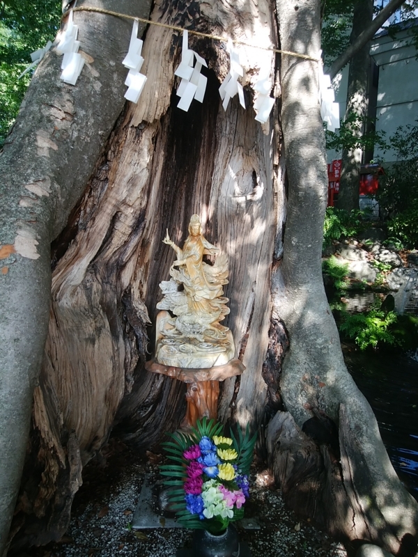 f:id:whitewitch:20180601152250j:image:w260 f:id:whitewitch:20180601152250j:image:w260