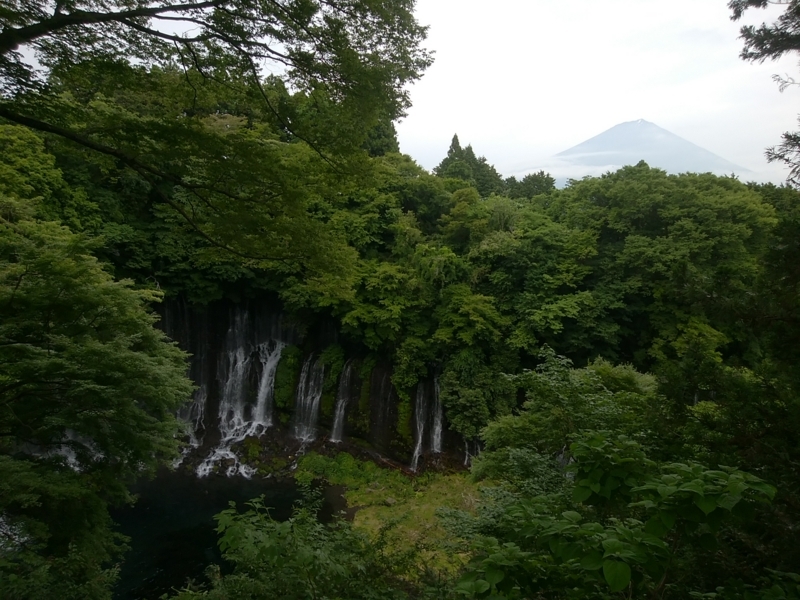 f:id:whitewitch:20180605153947j:image:w360