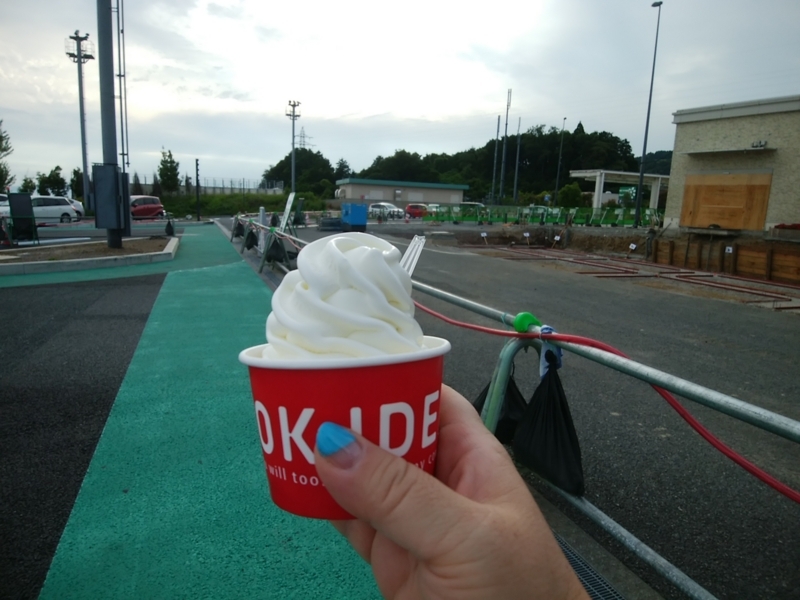 f:id:whitewitch:20180605170845j:image:w260