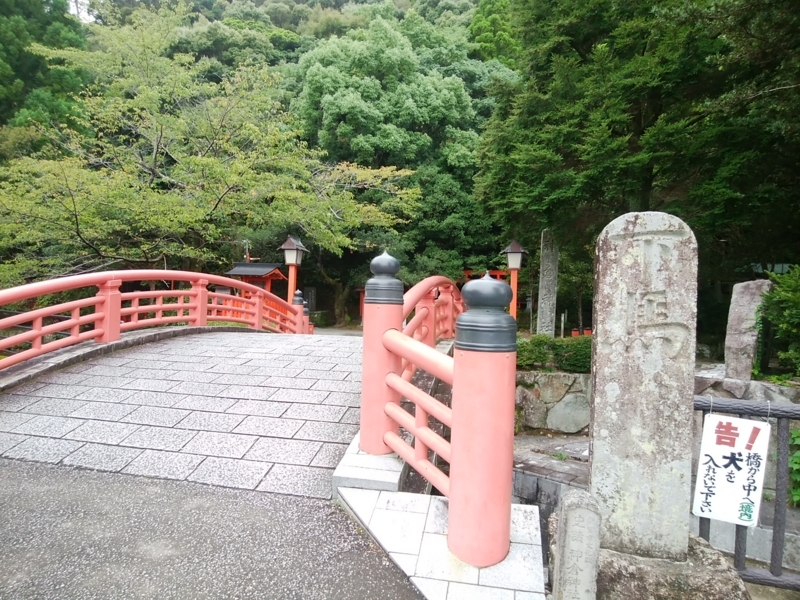f:id:whitewitch:20180820124945j:image:w260