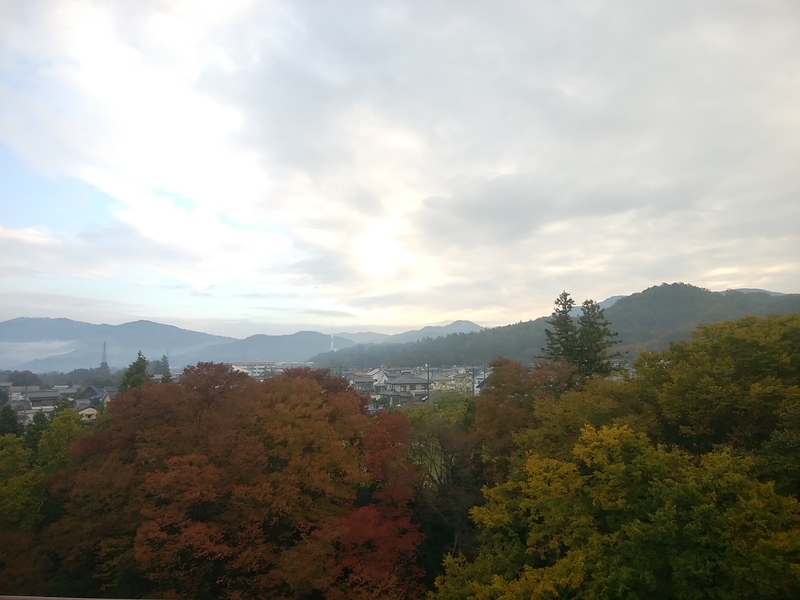 f:id:whitewitch:20181104071958j:image:w360