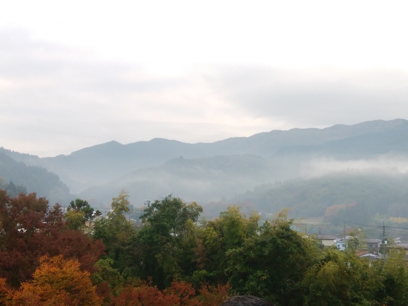 f:id:whitewitch:20181104072008j:image:w360
