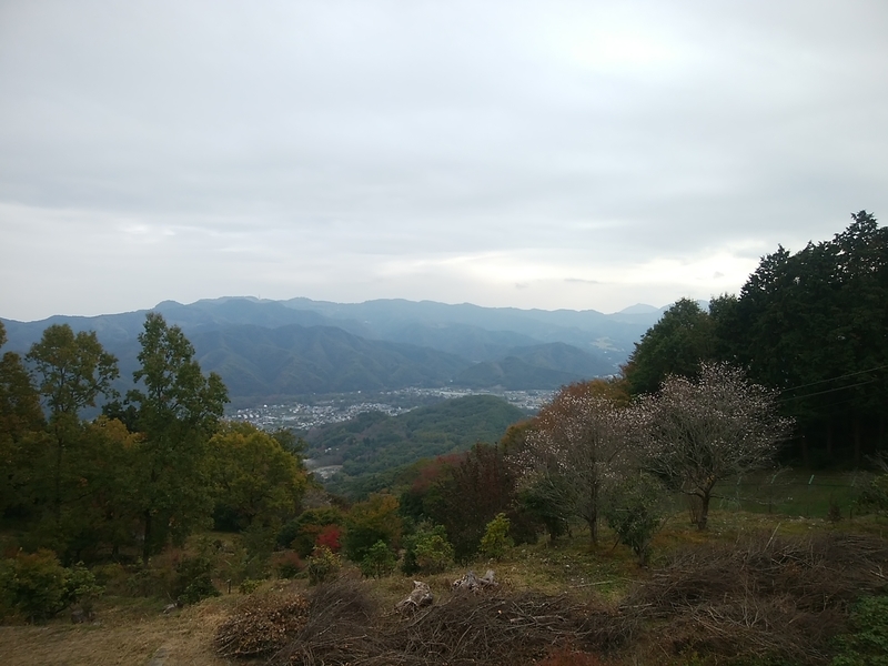f:id:whitewitch:20181104121409j:image:w360