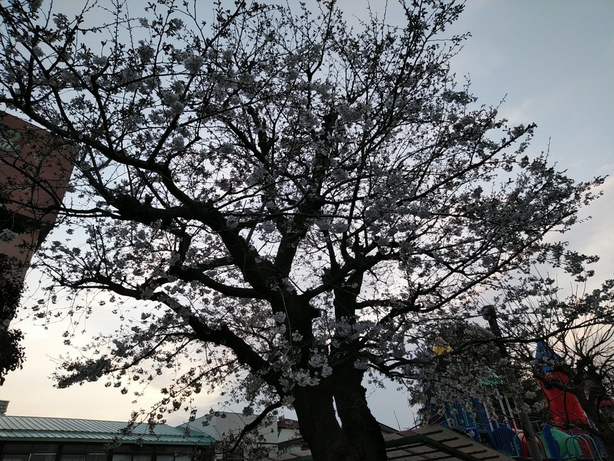 f:id:whitewitch:20190329004320j:plain f:id:whitewitch:20190329004320j:plain