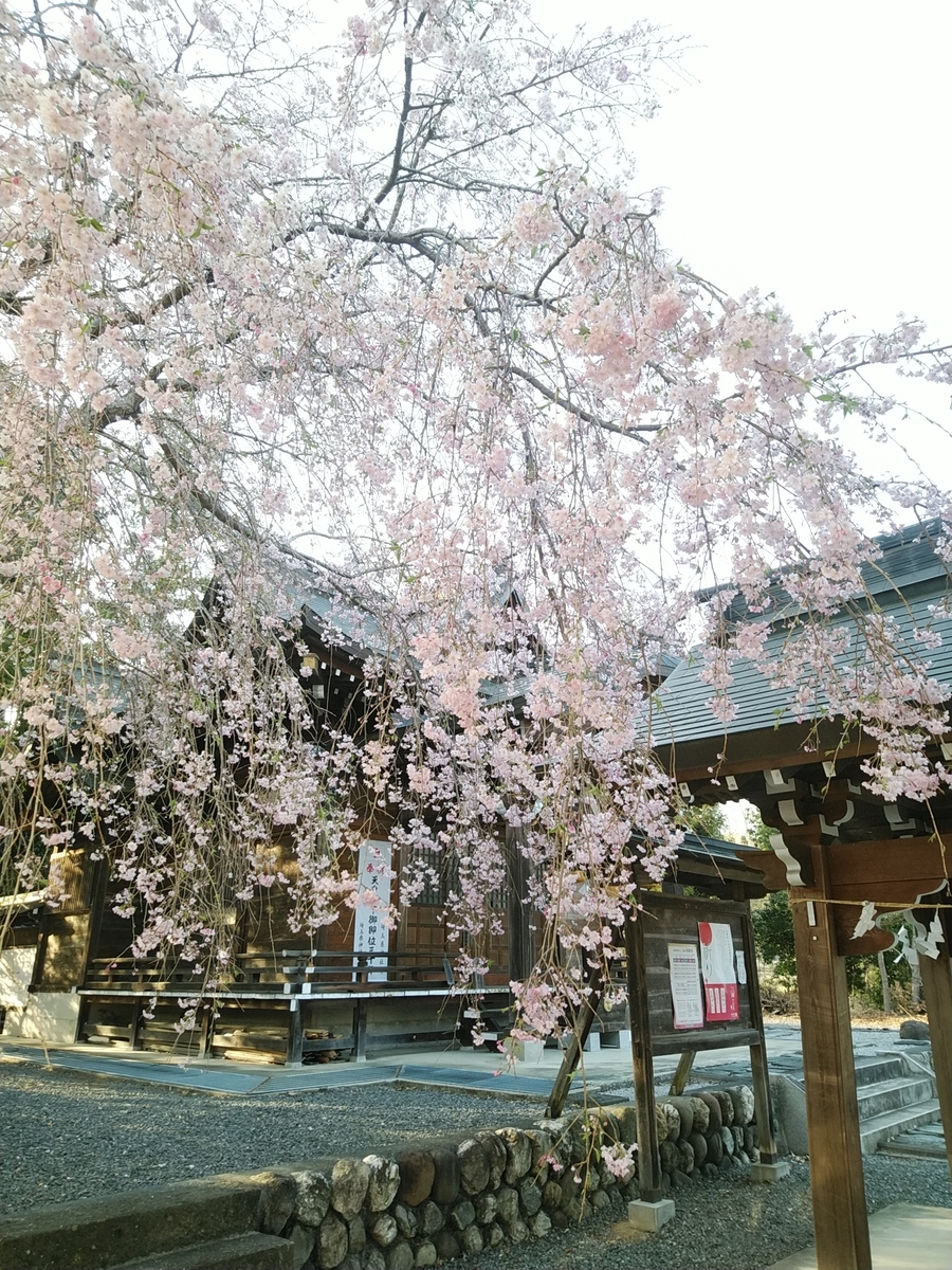 f:id:whitewitch:20190420165842j:plain
