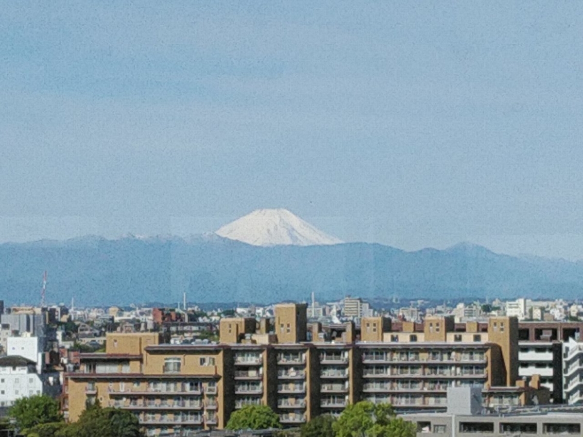 f:id:whitewitch:20190429003122j:plain