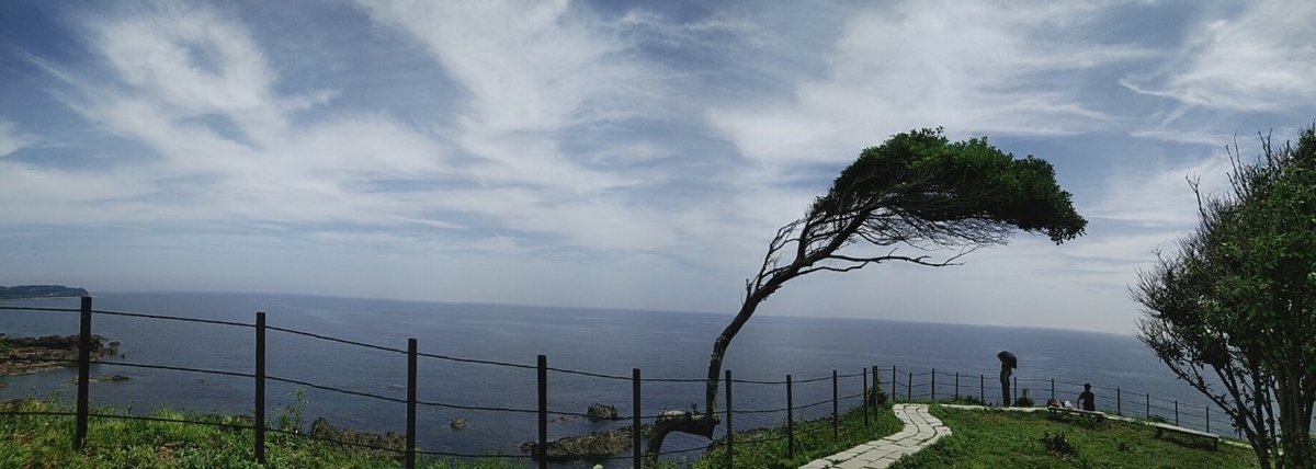 f:id:whitewitch:20190602221325j:plain f:id:whitewitch:20190602221325j:plain