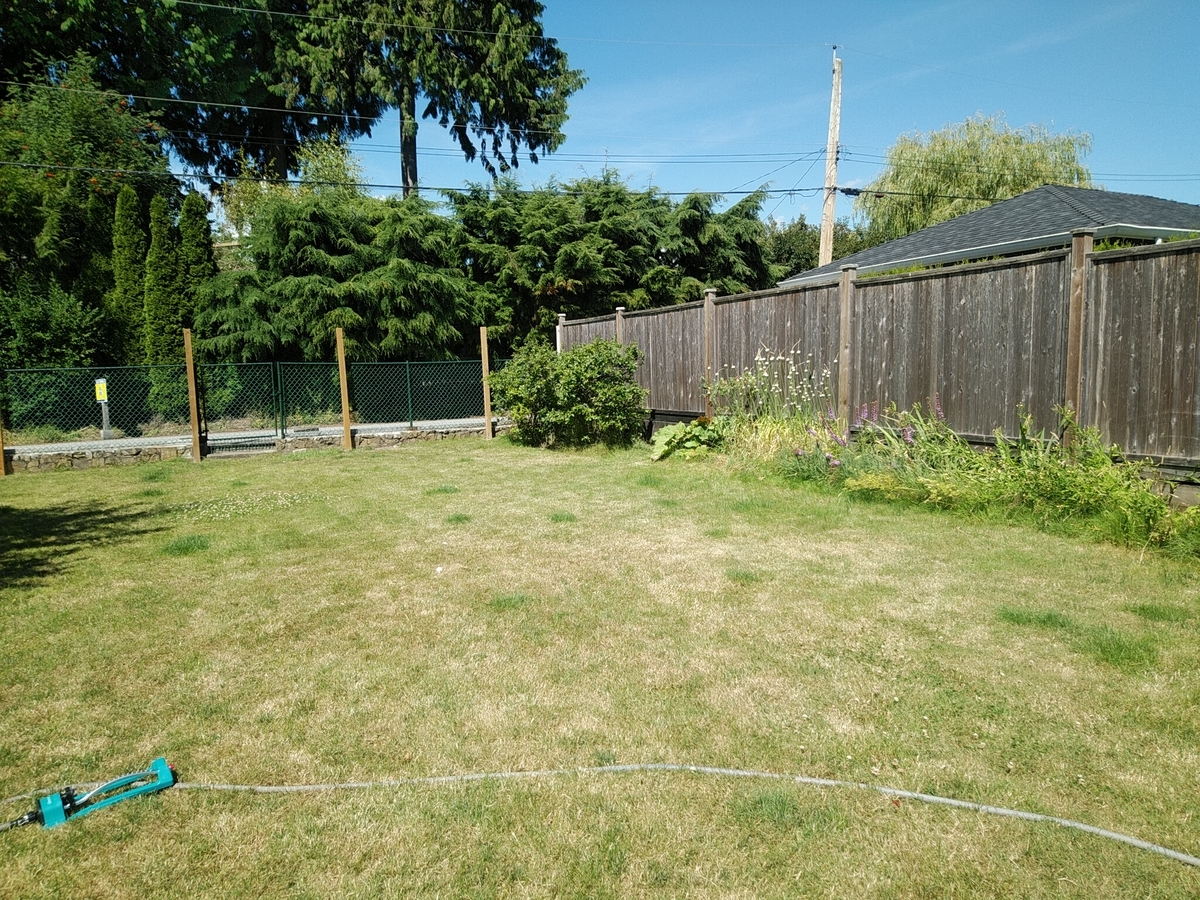 f:id:whitewitch:20190728150210j:plain