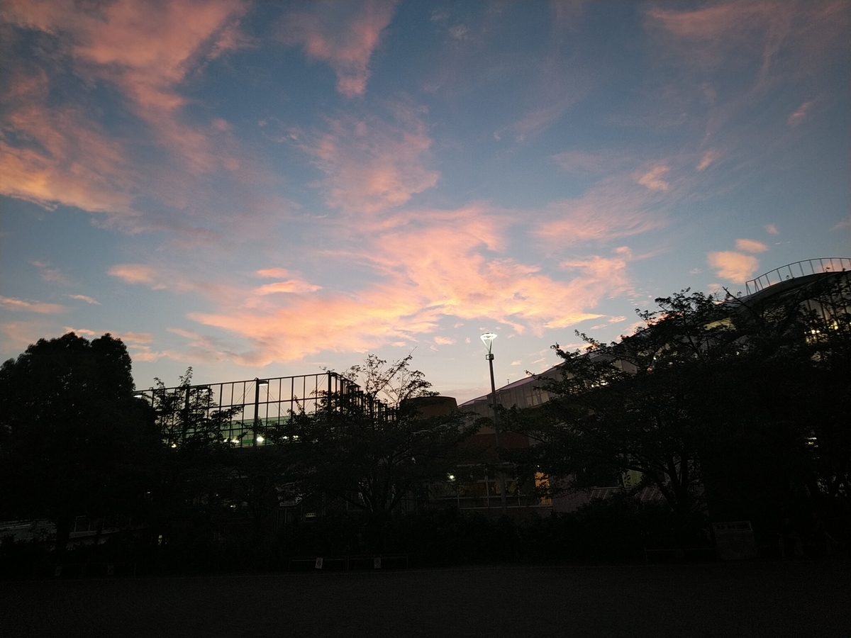 f:id:whitewitch:20190816184104j:plain f:id:whitewitch:20190816184104j:plain