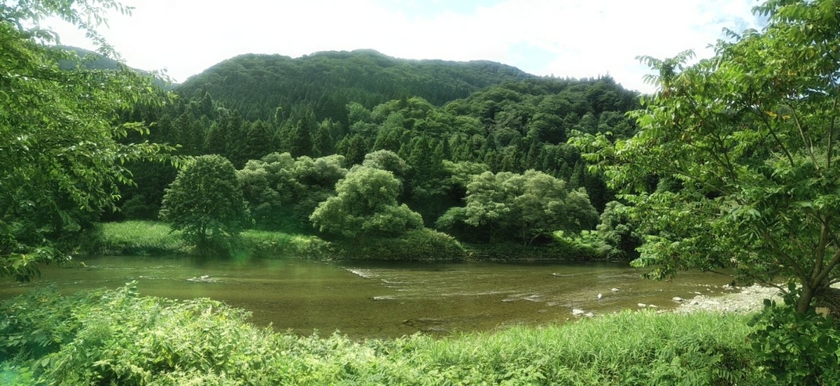 f:id:whitewitch:20190825221307j:plain f:id:whitewitch:20190825221307j:plain