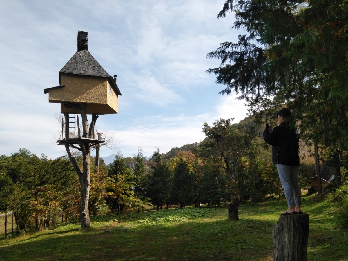 f:id:whitewitch:20191103215201j:plain f:id:whitewitch:20191103215201j:plain