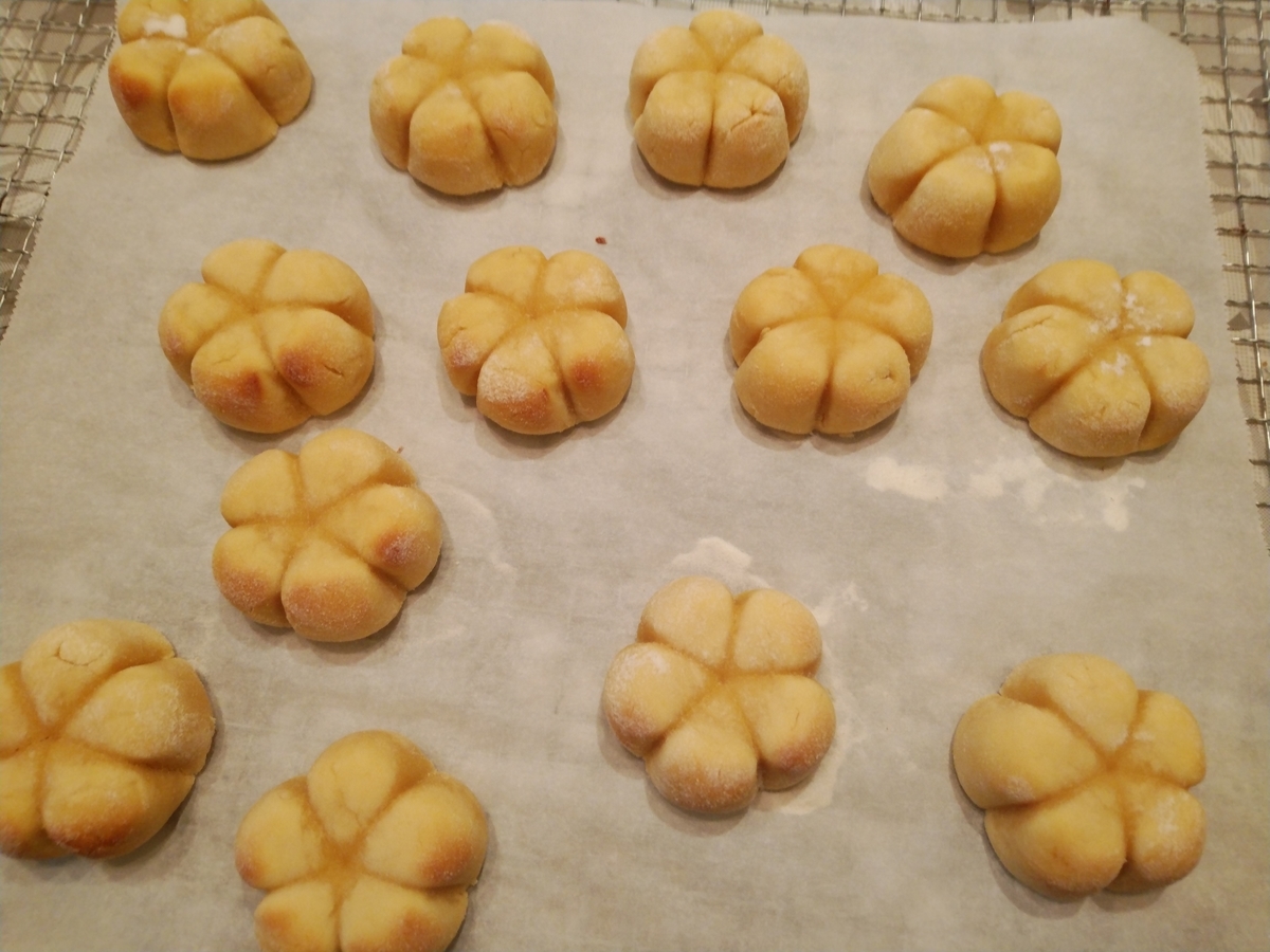 f:id:whitewitch:20200111105655j:plain