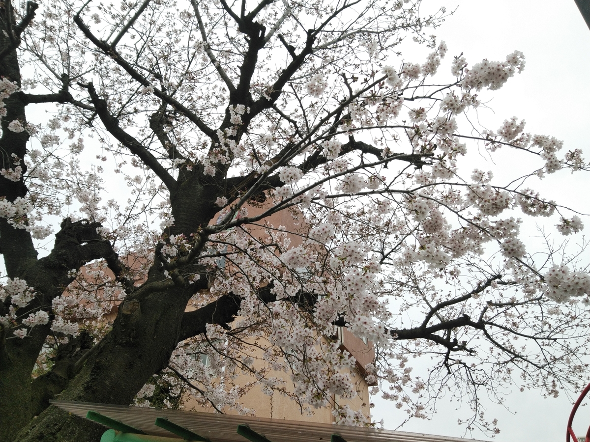 f:id:whitewitch:20200323125253j:plain f:id:whitewitch:20200323125253j:plain