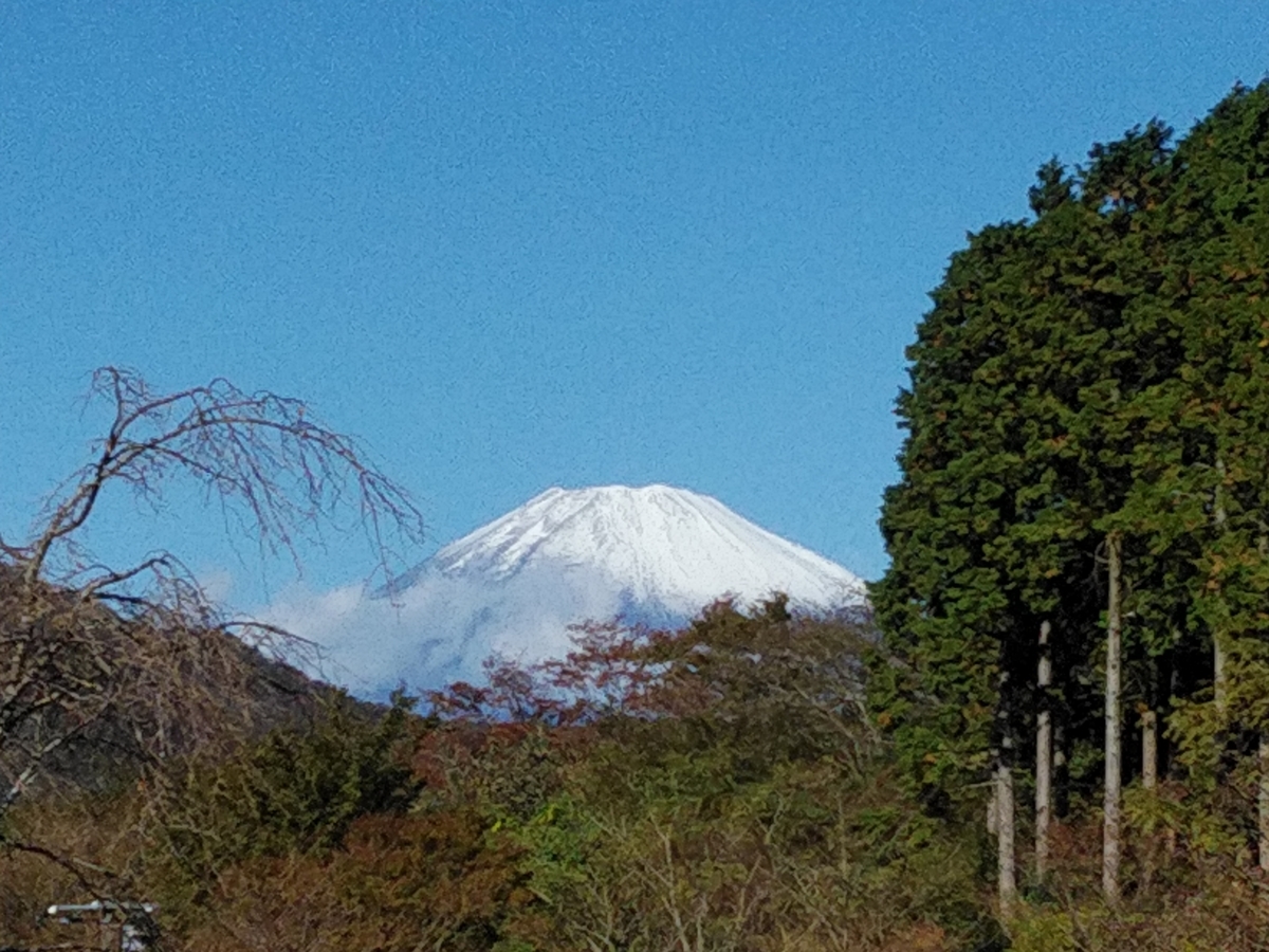 f:id:whitewitch:20201104093611j:plain