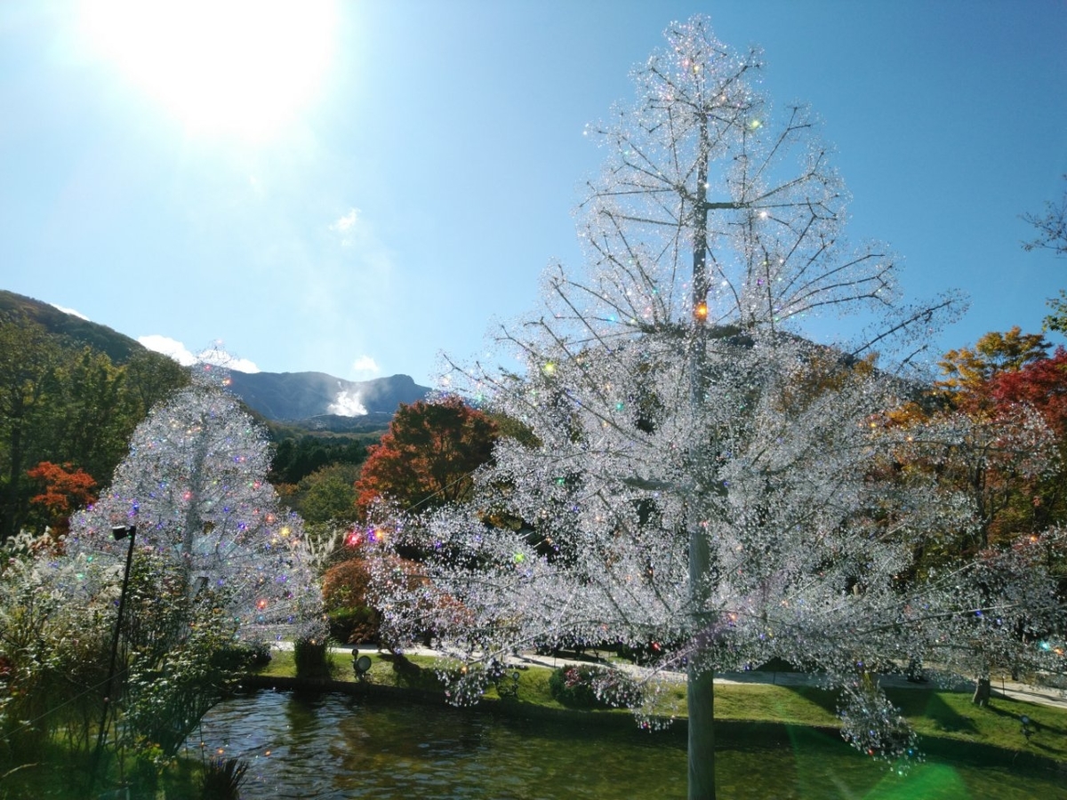 f:id:whitewitch:20201104214228j:plain