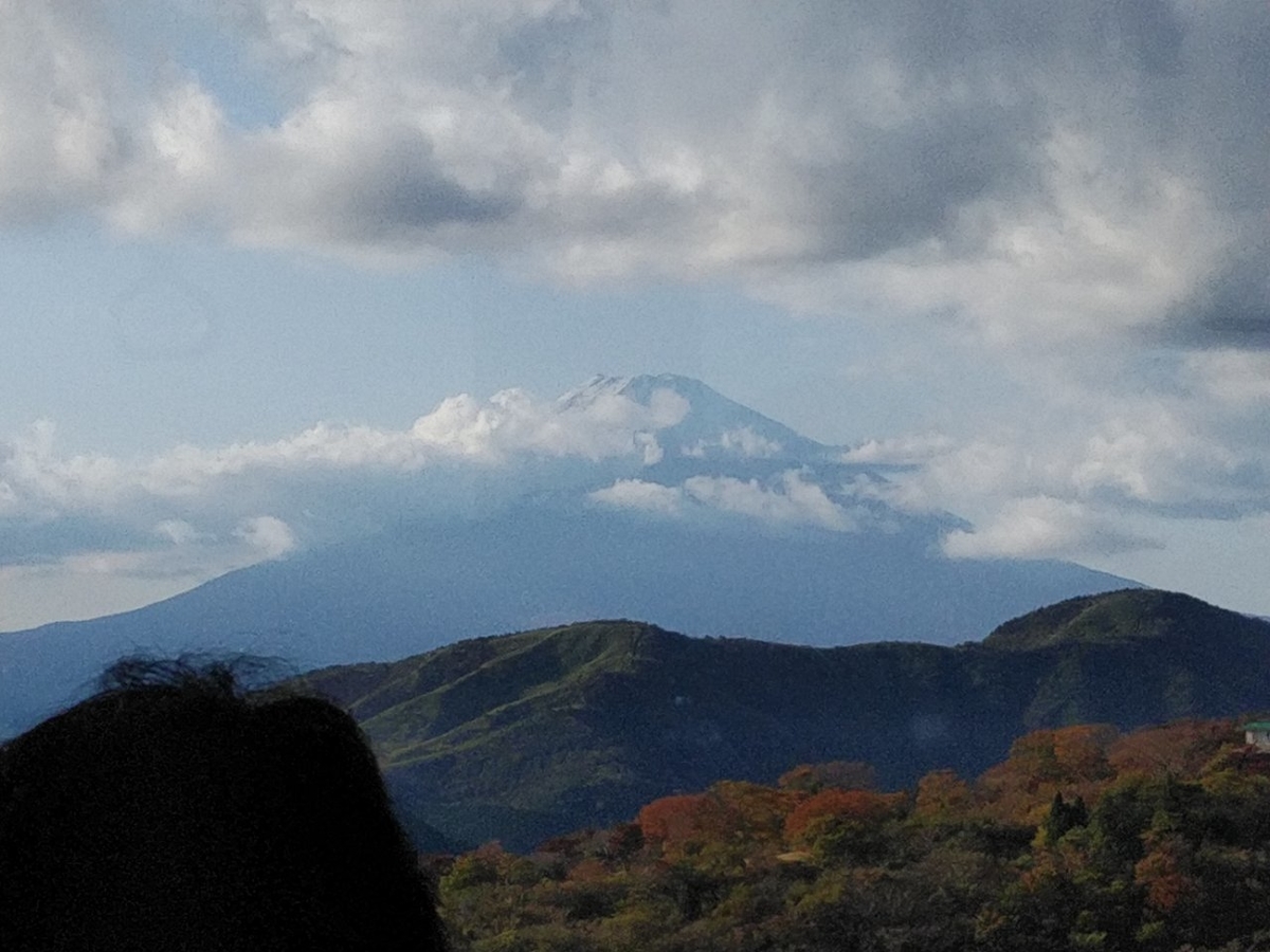f:id:whitewitch:20201104214416j:plain