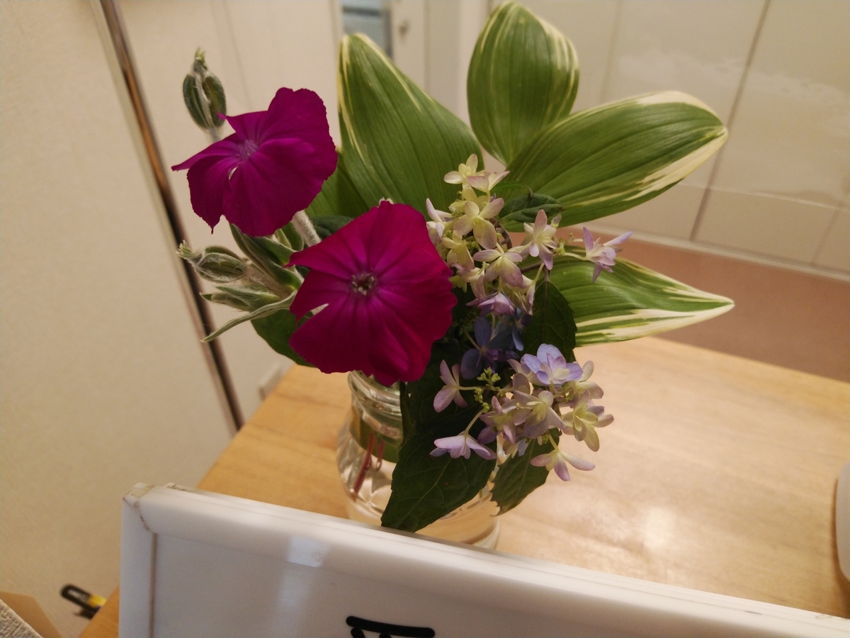 f:id:whitewitch:20210511111810j:plain