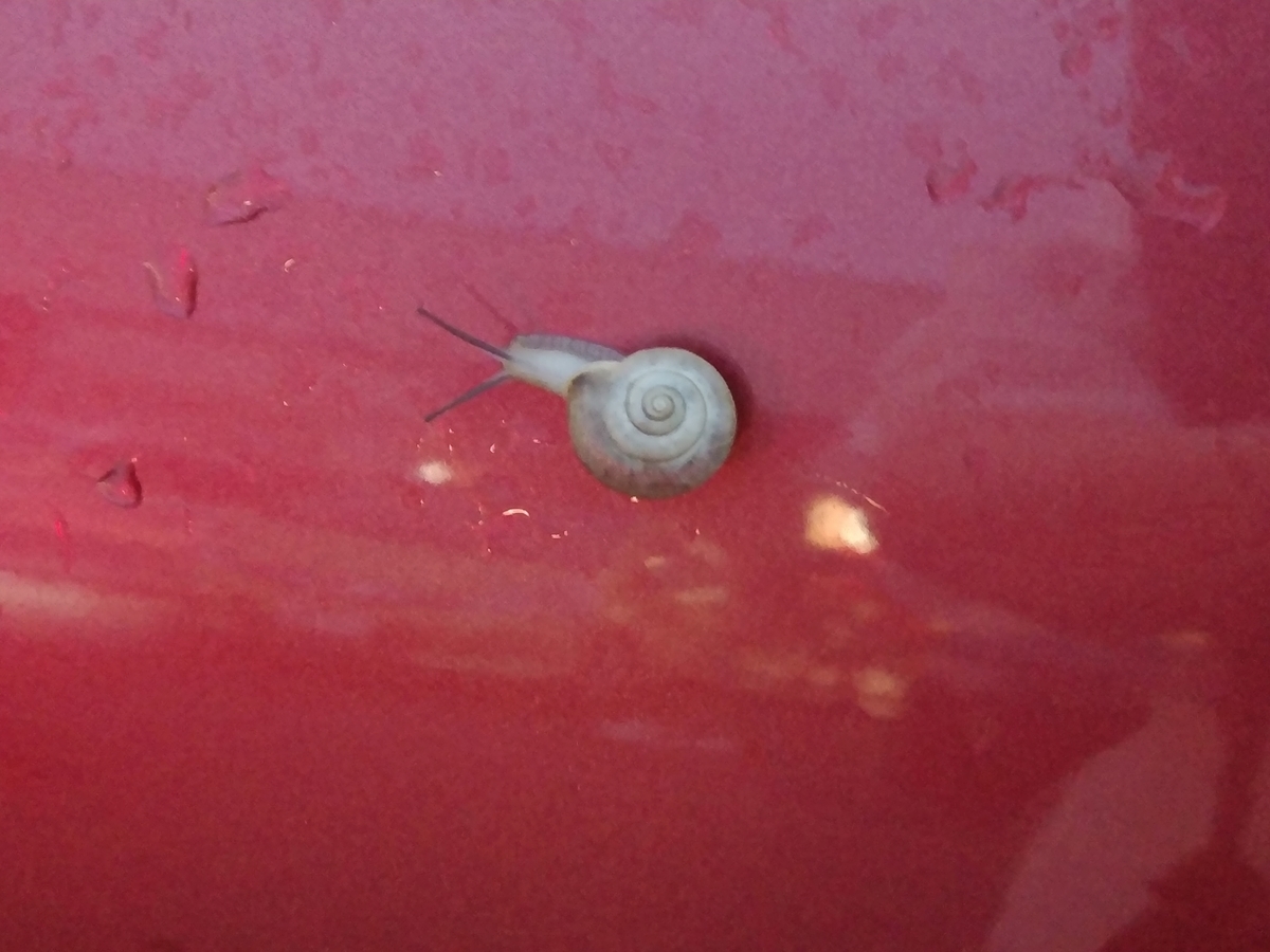 f:id:whitewitch:20210708185258j:plain