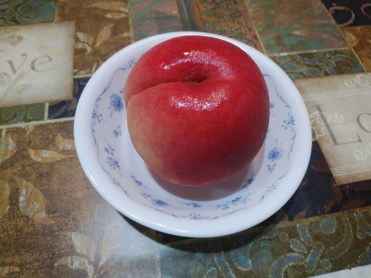 f:id:whitewitch:20210828201627j:plain