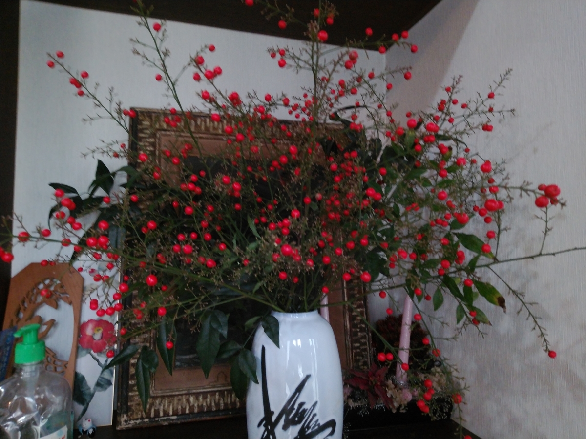 f:id:whitewitch:20211123151657j:plain