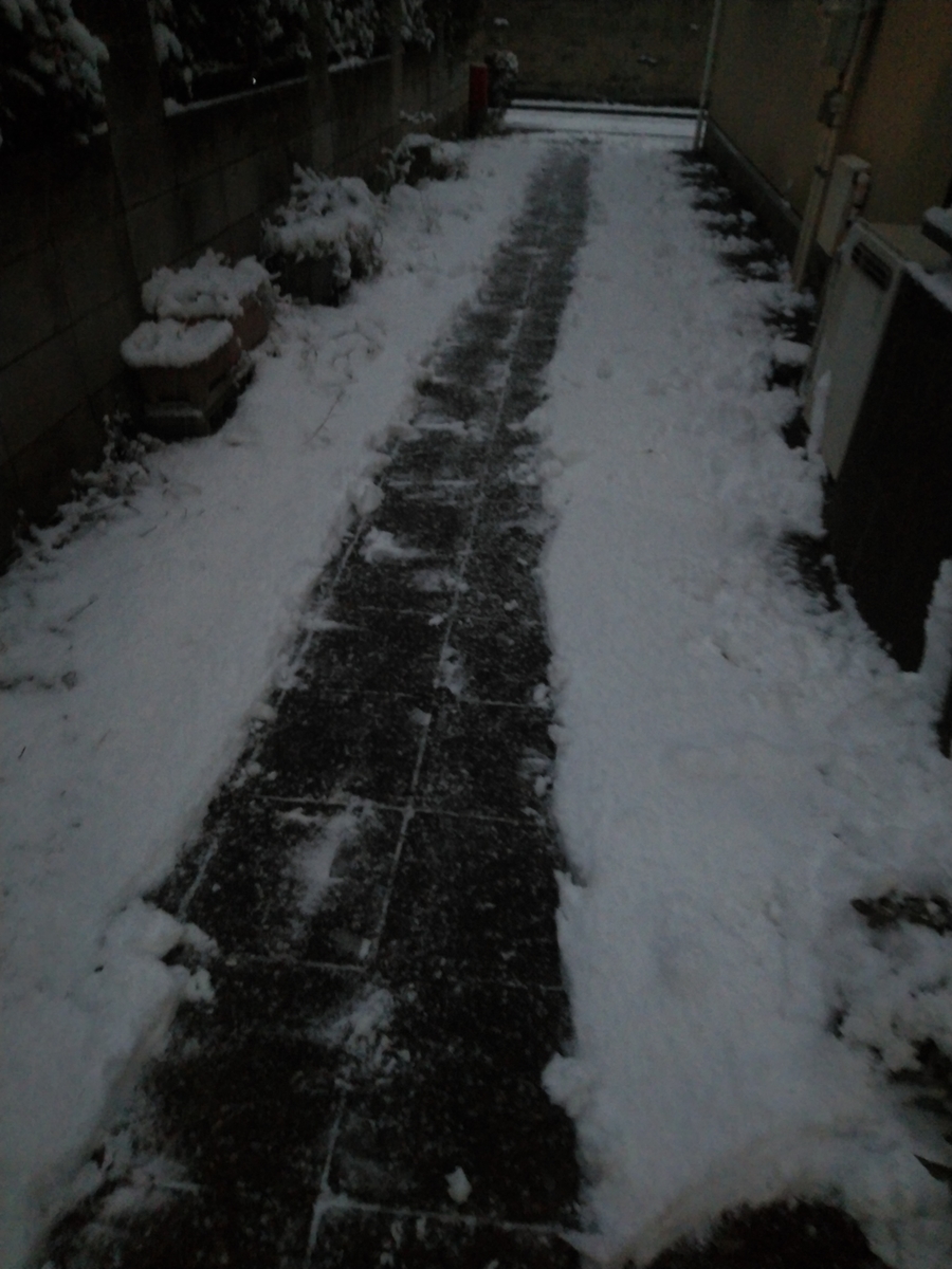 f:id:whitewitch:20220106165154j:plain