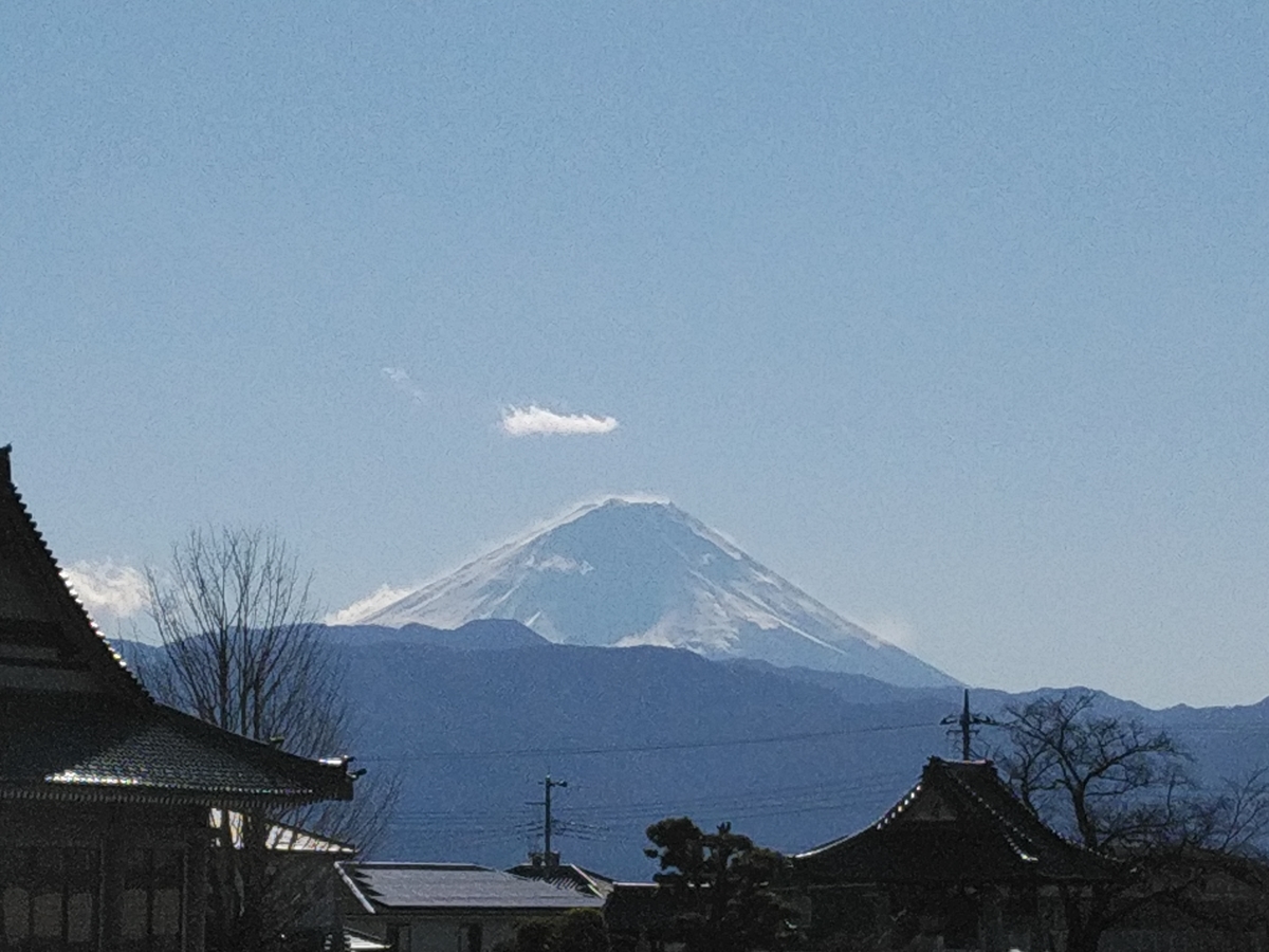 f:id:whitewitch:20220114101221j:plain