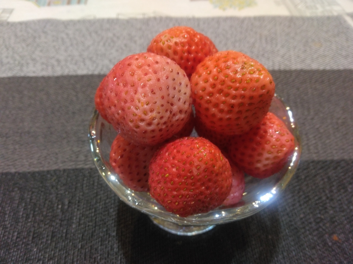 f:id:whitewitch:20220127215518j:plain