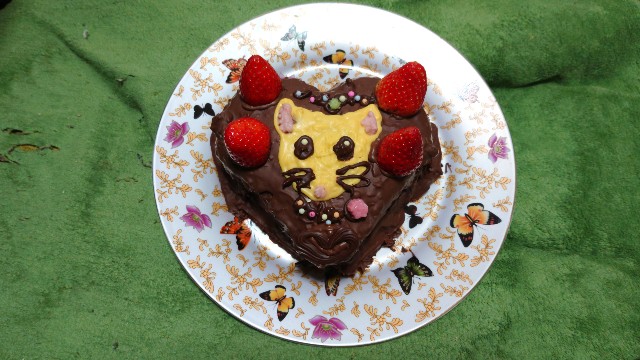 f:id:whitewolf-hiromi:20190214214234j:image f:id:whitewolf-hiromi:20190214214234j:image