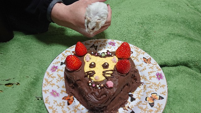 f:id:whitewolf-hiromi:20190214214501j:image