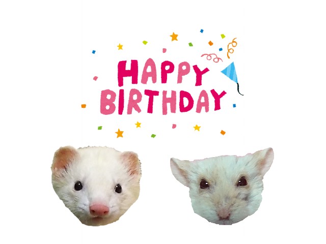 f:id:whitewolf-hiromi:20190404221224j:image f:id:whitewolf-hiromi:20190404221224j:image