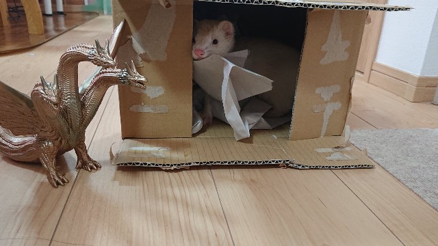 f:id:whitewolf-hiromi:20190619172959j:image f:id:whitewolf-hiromi:20190619172959j:image