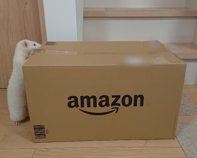 f:id:whitewolf-hiromi:20190701203247j:image f:id:whitewolf-hiromi:20190701203247j:image