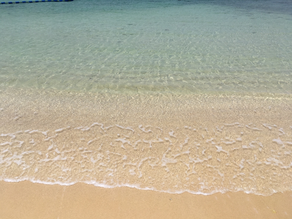 f:id:whitewriterokinawa:20170520194705j:plain f:id:whitewriterokinawa:20170520194705j:plain