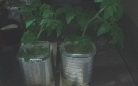 f:id:whitypig:20111027011424j:image f:id:whitypig:20111027011424j:image