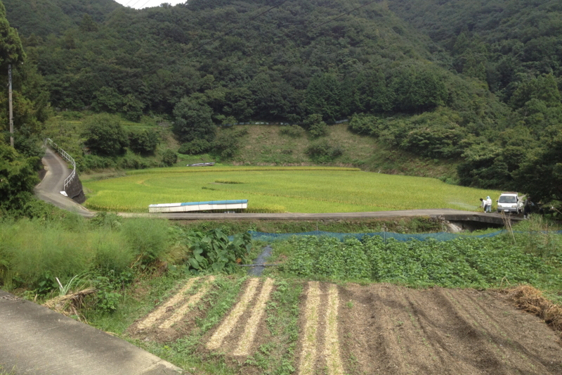 f:id:who-me:20120830141322j:plain f:id:who-me:20120830141322j:plain