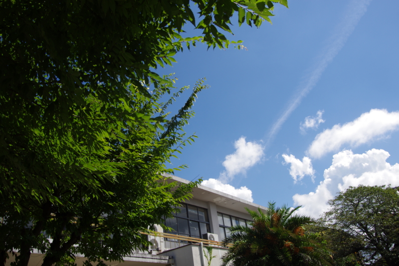 f:id:who-me:20120831101241j:plain f:id:who-me:20120831101241j:plain